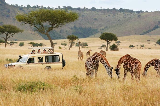 5 Days Safari in Tanzania | Camping and Lodge Safaris - Day 1: Elephants and baobabs in Tarangire