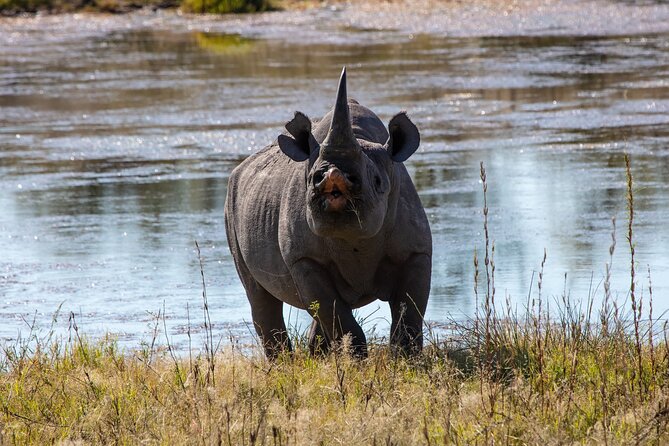 5 Days Safari Northern Circuit of Tanzania - Accommodation, meals, and the real value of $2,097