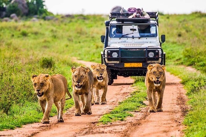 5 Days Safari Tarangire, Serengeti, and Ngorongoro Crater - Why this five-day route works