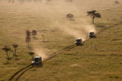 5 Days Safari Tarangire, Serengeti, and Ngorongoro Crater