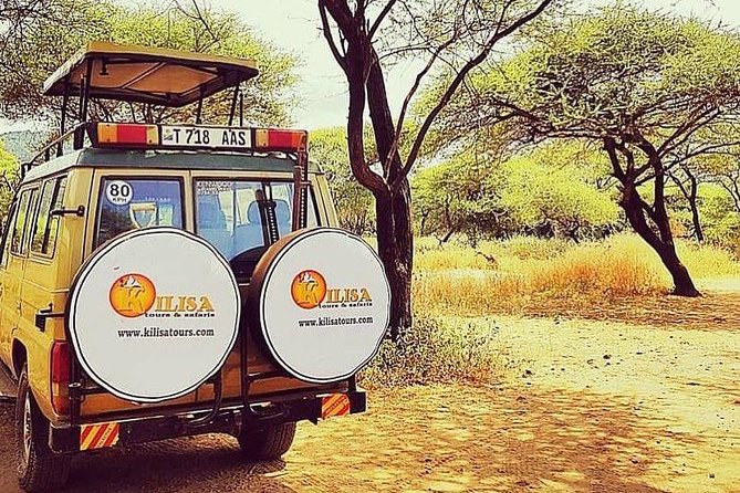 5 days Safari to Lake Manyara, Serengeti and Ngorongoro crater - The guide and vehicle make a major difference