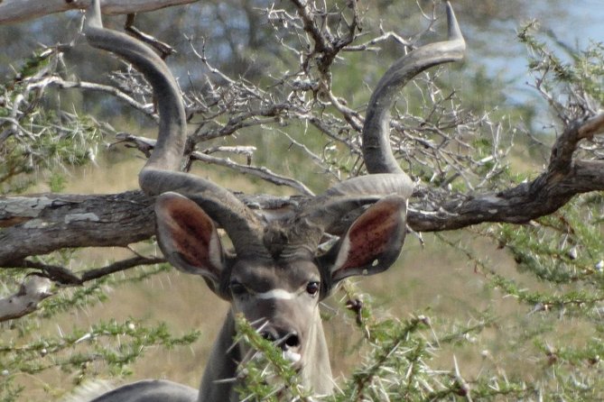 5 Days Safari to Nyerere NP (Selous GR) and Mikumi NP - Key points to know before booking
