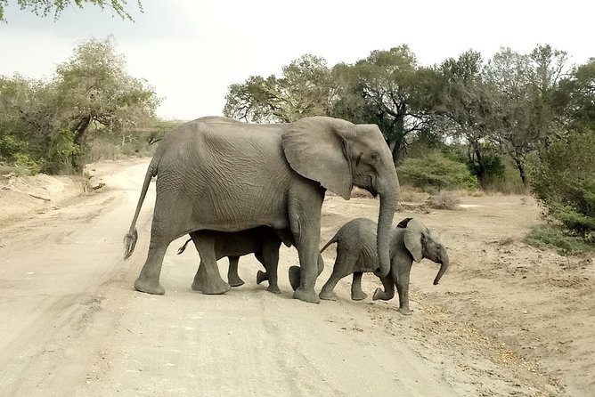5 Days Safari to Nyerere NP (Selous GR) and Mikumi NP - What the $1,446.16 price includes