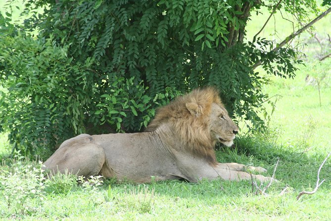 5 Days Safari to Selous & Mikumi - Day 3: Leaving Selous through Morogoro to Mikumi