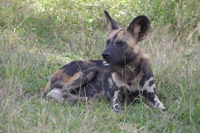 5 Days Safari to Selous & Mikumi - Day 4: A full day across Mikumi’s flood plain