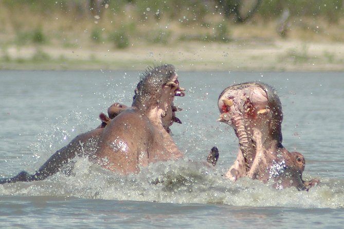 5 Days Safari to Selous & Mikumi - What the $1,999 price covers