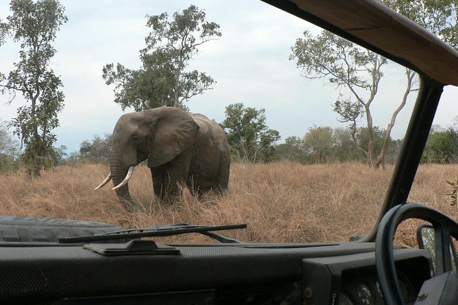 5 Days Safari to Selous & Mikumi - Day 2: Walking through Selous, then a full game drive