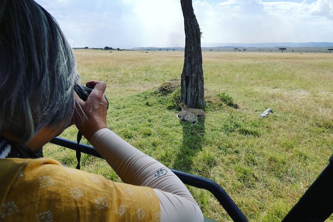 5 Days Safari to Serengeti, Ngorongoro, Tarangire from Arusha - Tarangire: elephants, river country, and huge baobabs