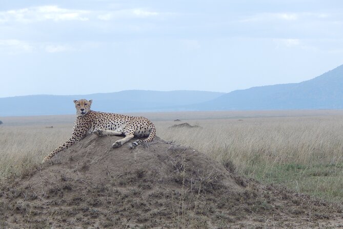 5 Days Safari to Serengeti, Ngorongoro, Tarangire from Arusha - What the $1,220 price really covers