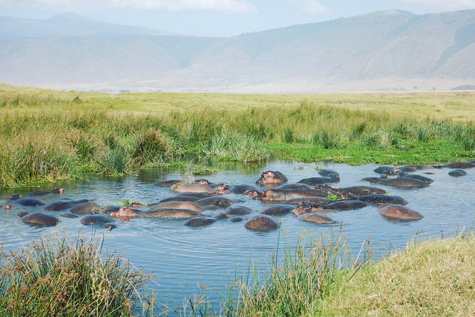 5 Days Safari to Serengeti, Ngorongoro, Tarangire from Arusha - Two Serengeti days for a better chance at wildlife