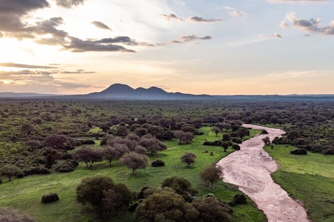 5-Days Selous Game Reserve and Mikumi National Park Tour - Why this southern Tanzania safari is worth considering