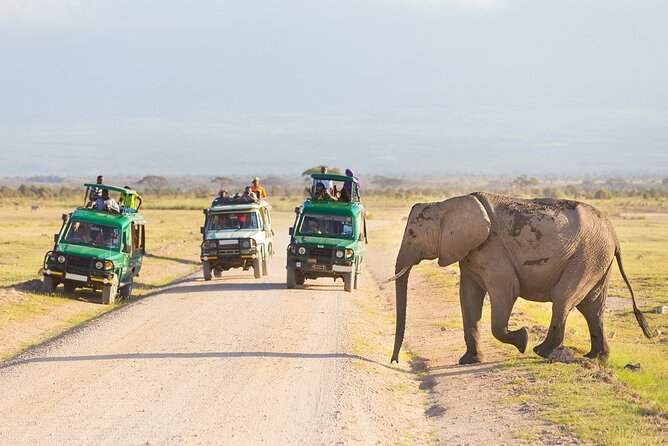 5 Days Serengeti Camping Safari - What this five-day safari is really offering