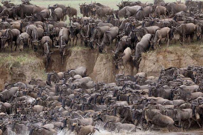 5 Days Serengeti Camping Safari - Is $1,100 good value?