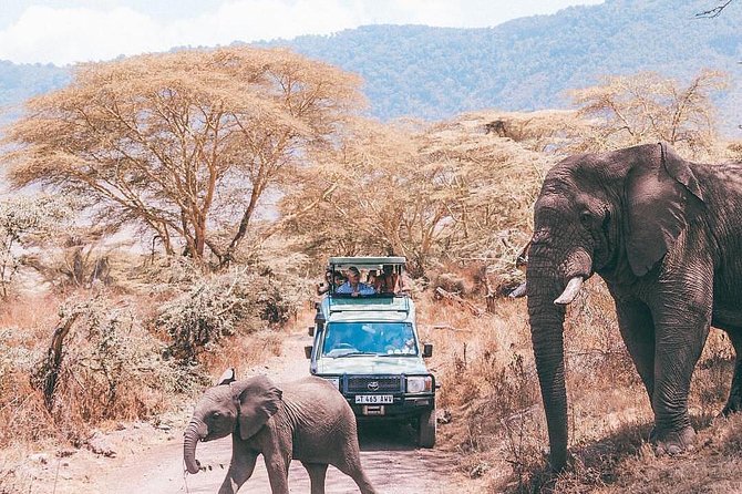5 days serengeti, ngorongoro, tarangire & manyara lodge tour - Tarangire brings elephants and big skies