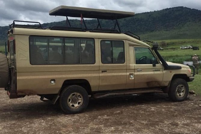 5 days serengeti, ngorongoro, tarangire & manyara lodge tour - Serengeti receives the most attention