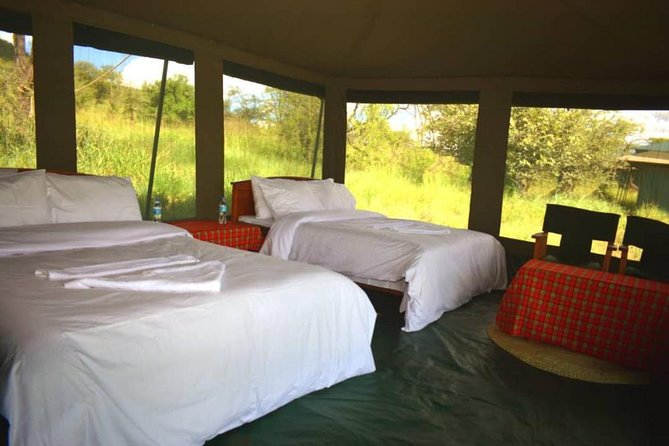 5 days serengeti, ngorongoro, tarangire & manyara lodge tour - Lodges, camps, and the comfort question