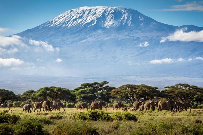 5 days Serengeti Wildebeest Migration Safari - Day five: Ngorongoro Crater and the route to Arusha