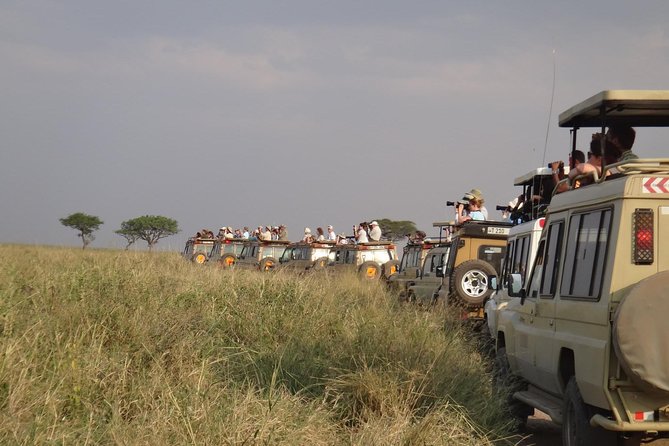 5 Days Special Safari to see migration - What this five-day safari is really offering