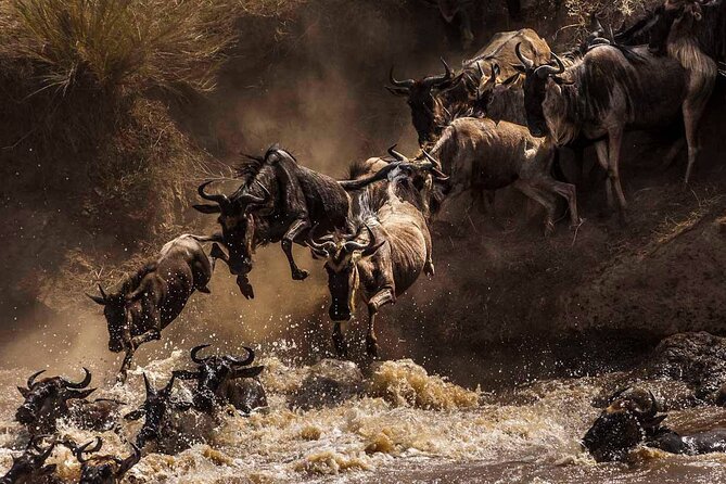 5 Days Special Safari to see migration - Lodging, meals, and comfort on the road