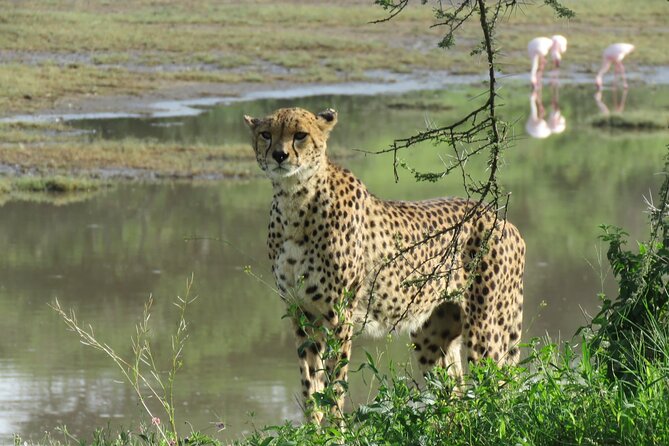 5 Days Special Safari to see migration - Day 2: The long road into Serengeti National Park