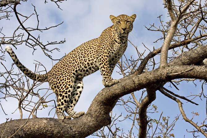 5 Days Tanzania Budget Camping Safari from Arusha - A five-day route through northern Tanzania