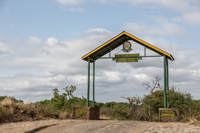 5 Days Tanzania Budget Camping Safari from Arusha - Days three and four: the central Serengeti