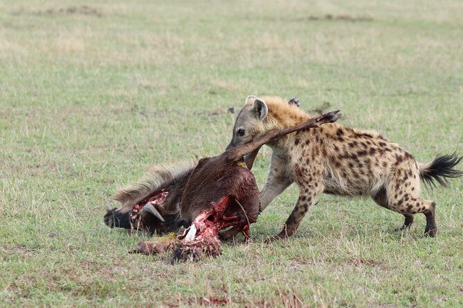 5 Days Tanzania Budget Camping Safari from Arusha - Food, transport, and daily rhythm