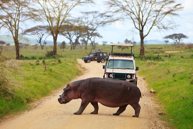 5 Days Tanzania Budget Camping Safari from Arusha - Day one: Lake Manyara’s forest, lake, and cliffs