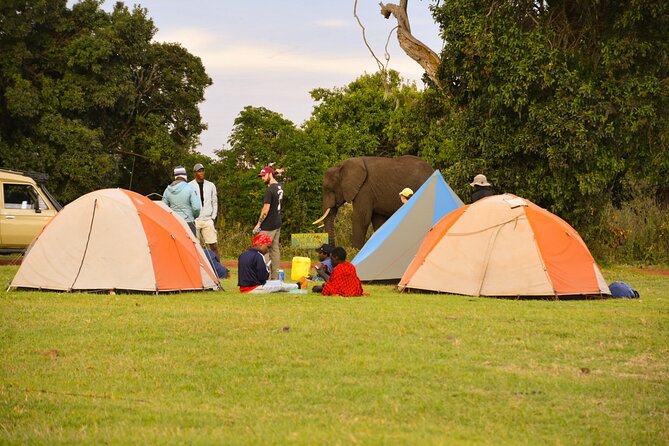 5 Days Tanzania Family Safari - Day one: elephants and baobabs in Tarangire