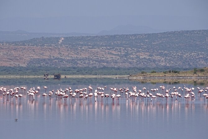 5 Days Tanzania Family Safari - Day four: Maasai culture and the road to Ngorongoro