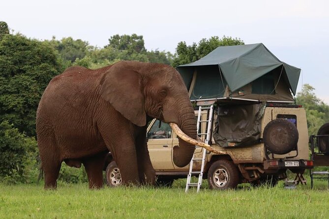 5 Days Tanzania Joining Safari with Pick Up Included Shared Tour - What $1,500 buys you in Tanzania