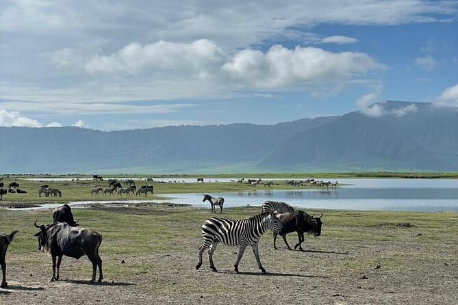 5 Days Tanzania Joining Safari with Pick Up Included Shared Tour - Camping, food, water, and the shared vehicle