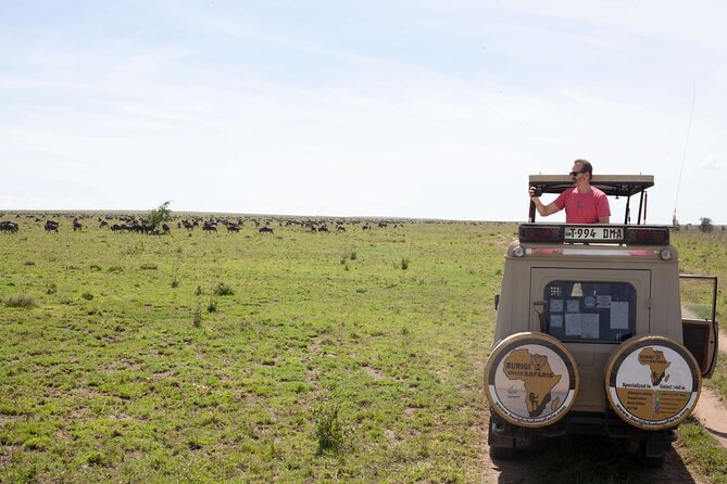 5 days Tanzania midrange lodge Private safari - Day 1: Tarangire’s elephants and baobabs