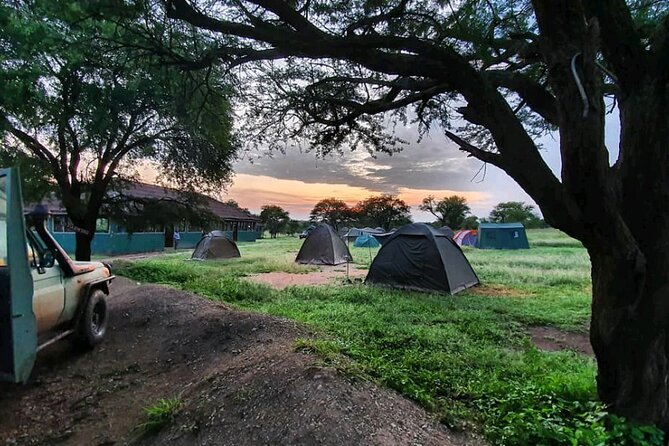 5 Days Tanzania's Wildlife Joint Safari. - Wildlife: what you might see