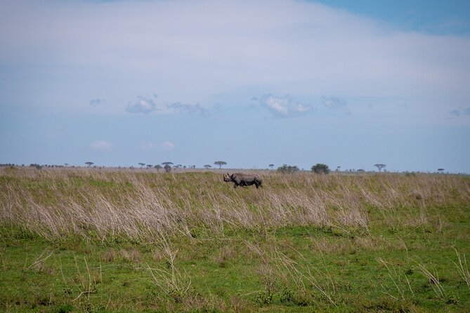 5 Days Tanzania's Wildlife Joint Safari. - Day 2: The long road toward Serengeti