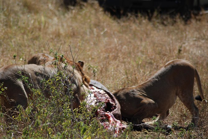 5 Days Tanzania Safari from Mwanza to Arusha - What the $2,950 price covers