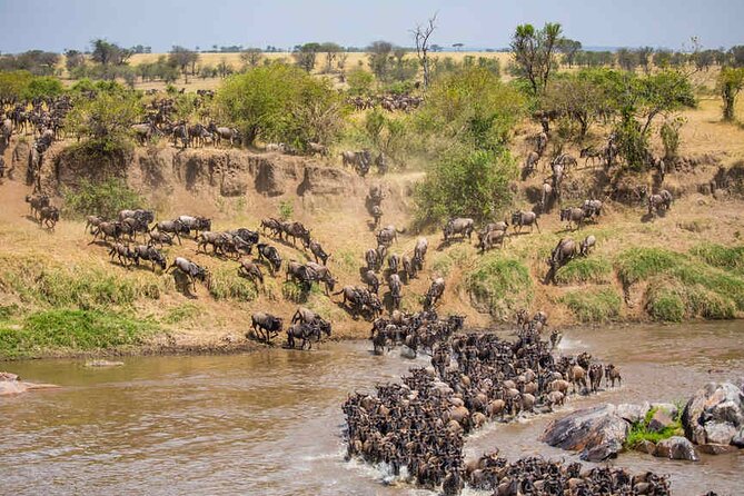 5 Days Tanzania Safari Great Wildebeest Migration - Day four: From northern Serengeti back toward Ngorongoro