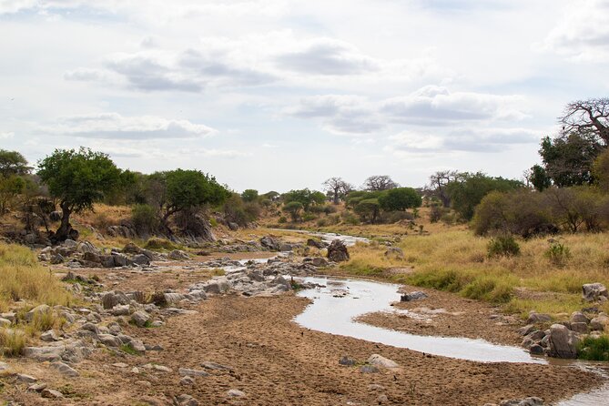 5 Days Tanzania Safari Great Wildebeest Migration - Camping, food, and the daily rhythm