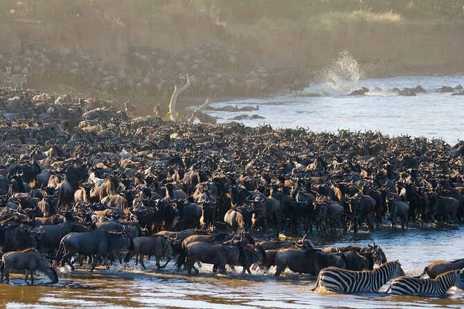 5 Days Tanzania Safari Great Wildebeest Migration - Day two: Crossing toward Serengeti