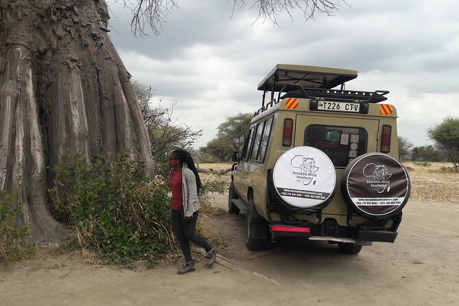 5 Days Tanzania Safari - Migration and Big 5 Safaris - Why this route works from Moshi