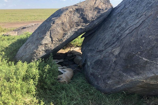 5 Days Tanzania Safari - Migration and Big 5 Safaris - What the $3,700 price really covers