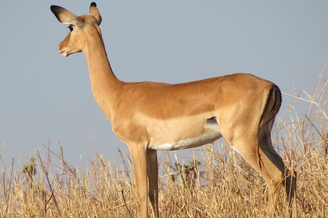 5 Days Tanzania Wildlife Safari Private Tour - Is $3,800 per person a fair price?