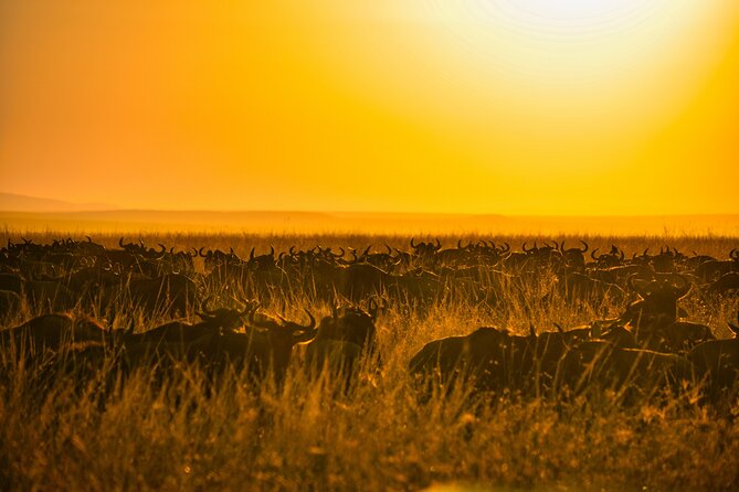 5-days Tarangire-Serengeti-Ngorongoro Safari - Why this five-day route works