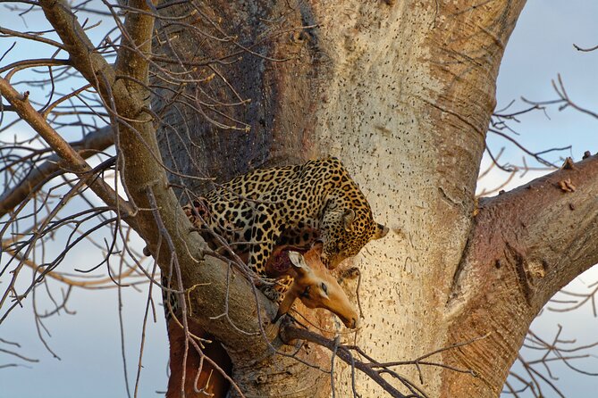 5-days Tarangire-Serengeti-Ngorongoro Safari - Day 5: Mto wa Mbu and the return to Arusha