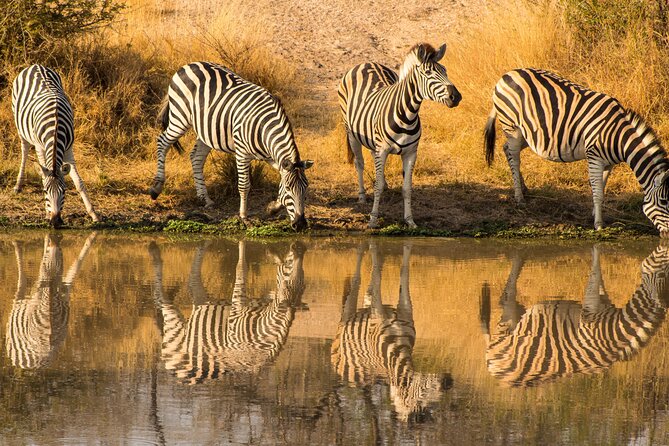 5-days Tarangire-Serengeti-Ngorongoro Safari - The guide, food, and private format