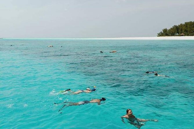 5-Hour Snorkeling, Swimming with Dolphins and Sea Turtles Aquarium - Snorkeling among Mnemba’s reef fish