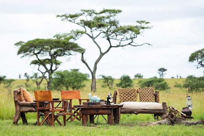 5days Tarangire,Serengeti,ngorongoro Crater and Lake Manyara National park - Day 4: Ngorongoro Crater and the descent to the crater floor