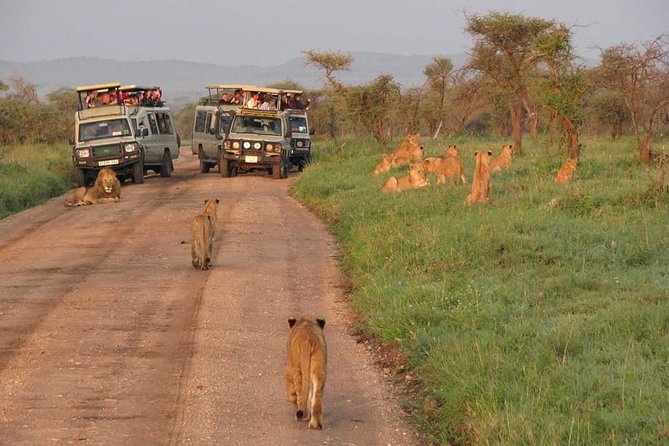 5days Tarangire,Serengeti,ngorongoro Crater and Lake Manyara National park - Day 5: Lake Manyara before the return to Arusha