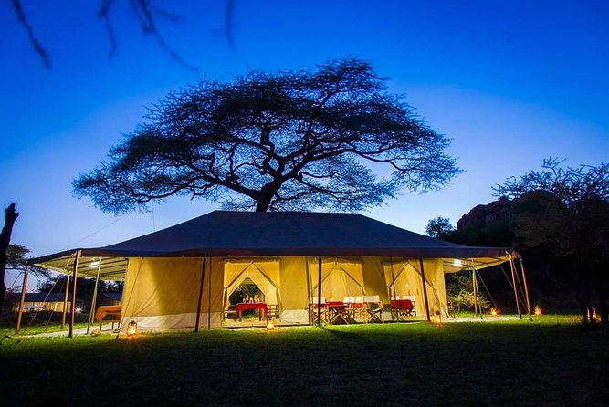 5days Tarangire,Serengeti,ngorongoro Crater and Lake Manyara National park - The private vehicle and the guide factor