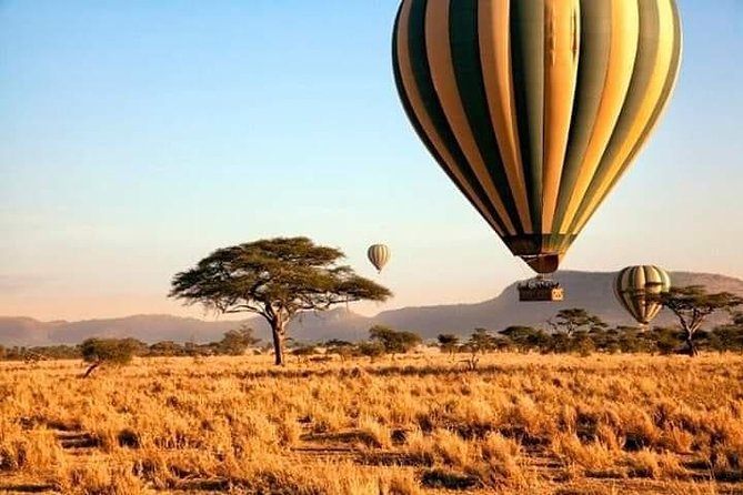5days Tarangire,Serengeti,ngorongoro Crater and Lake Manyara National park - Day 2: From Tarangire through the Rift Valley to Serengeti